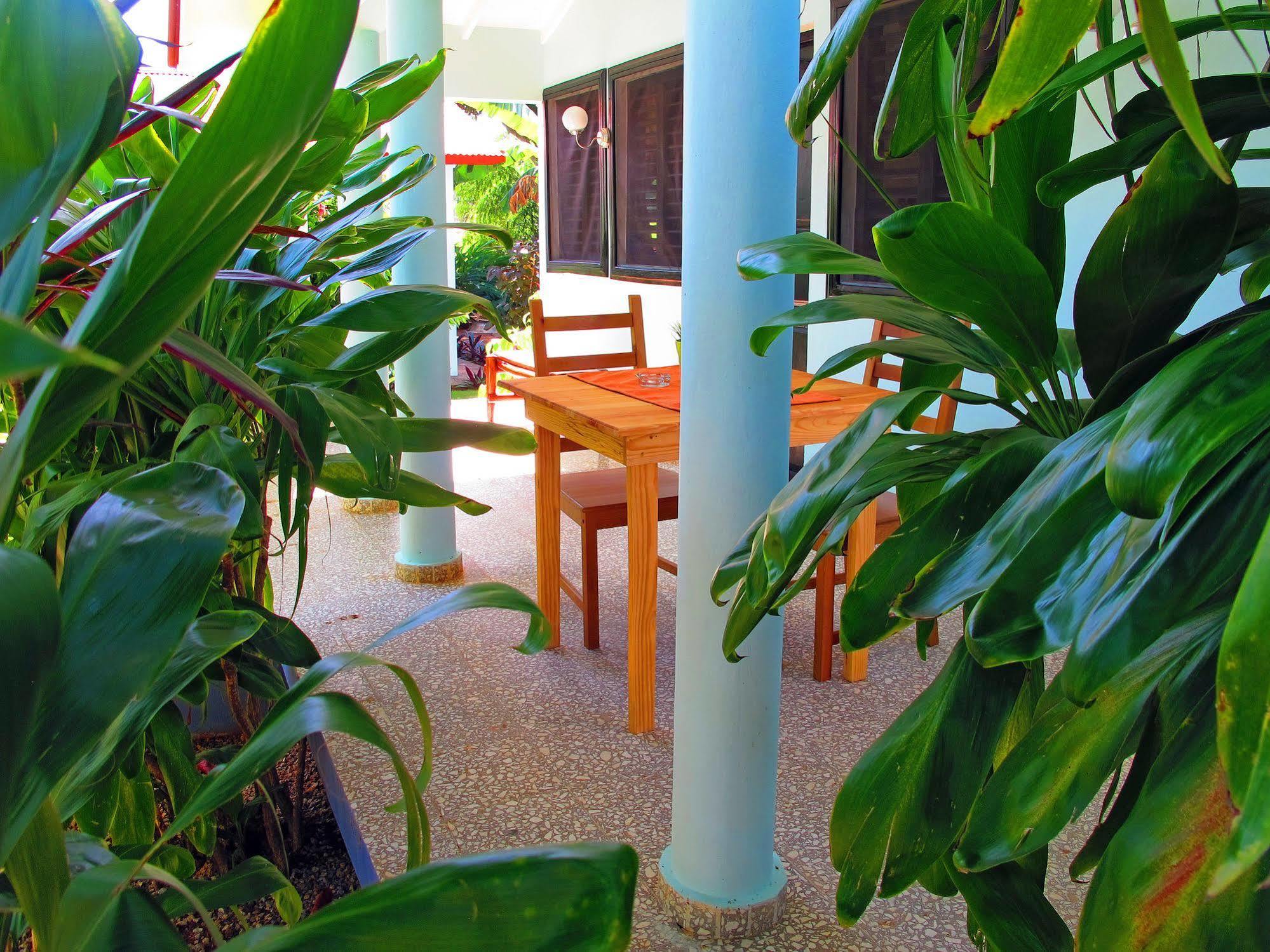 Bungalows Of Las Galeras Εξωτερικό φωτογραφία